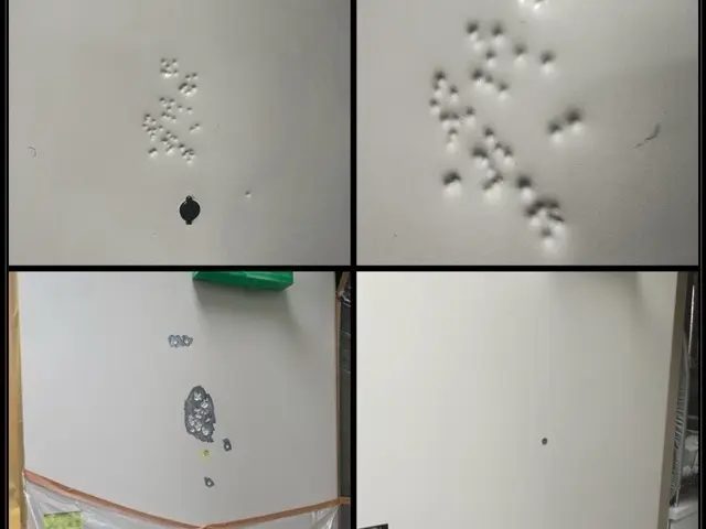 【思い出が沢山詰まった玄関ドア　交換せずに綺麗にします】キズ凹み補修、再塗装などサービスの画像