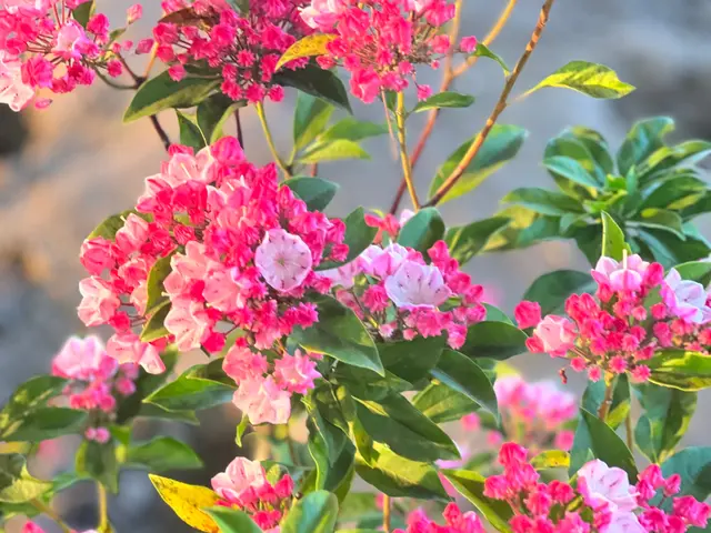 年中無休！近隣の方々にご迷惑にならないよう対応しますサービスの画像