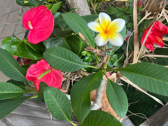 年中無休！近隣の方々にご迷惑にならないよう対応しますサービスの画像