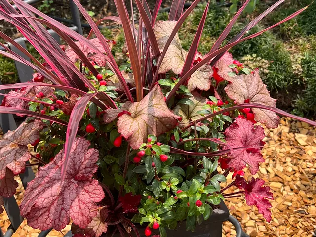 年中無休！近隣の方々にご迷惑にならないよう対応しますサービスの画像