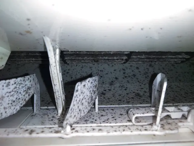 ◎複数台割り引き！！◎当店独自施工で汚れ、カビ菌除去！！現金払いで抗菌無料中！サービスの画像