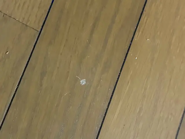 福岡市ご対応可能♪フローリングのリペア致します。サービスの画像