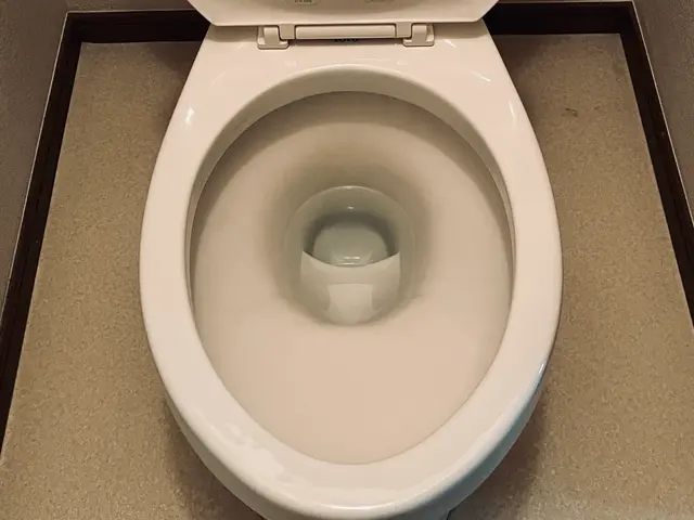 【店長訪問・2名体制】いつも清潔にしておきたい場所☆尿石・黒ずみ一掃しますサービスの画像