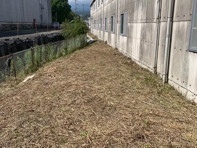 ｛草刈り全般請け負います｝静岡県発！対応地域外も可能〇見違えるほどきれいに！サービスの画像