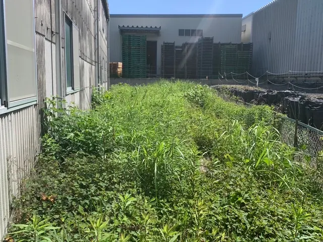 ｛草刈り全般請け負います｝静岡県発！対応地域外も可能〇見違えるほどきれいに！サービスの画像