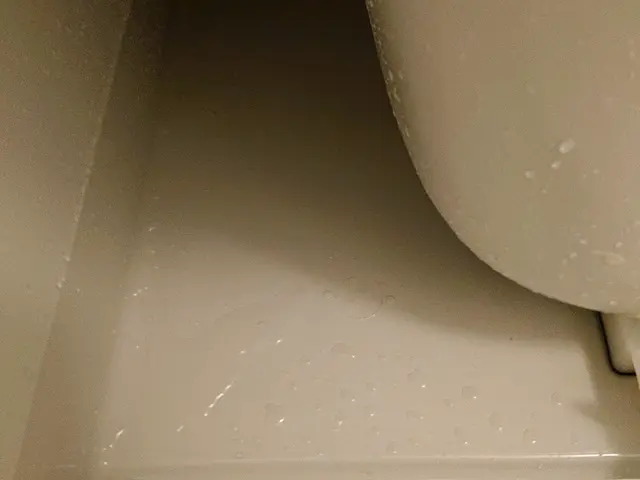 ★2025年掃除お助け隊★浴室クリーニングサービスの画像