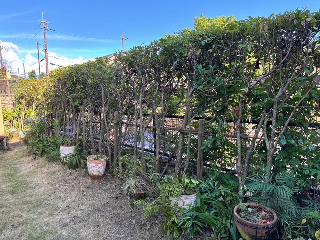 お客様から信頼いただけるよう、一つ一つの作業を迅速丁寧に対応します！サービスの画像