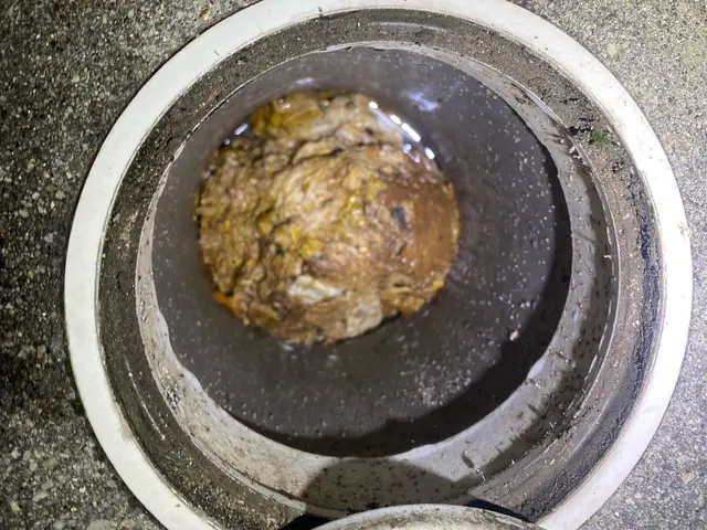 R7.4月出店）排水管詰まり、洗浄はエンジン式の高圧洗浄機で問題解決！サービスの画像