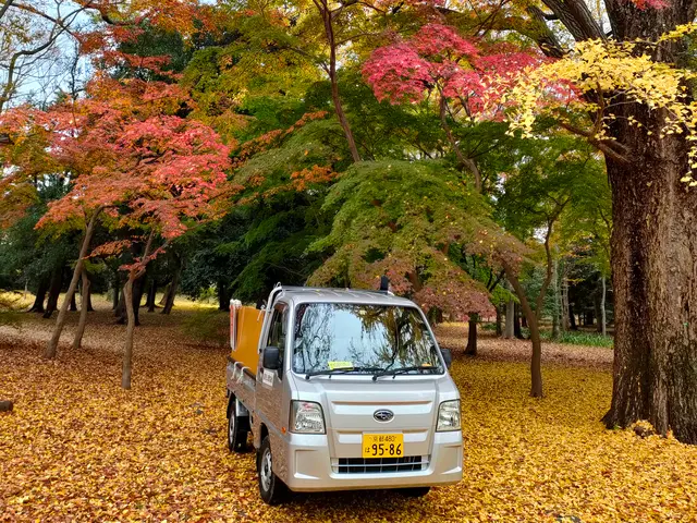 メッセージにて作業内容、写真、希望作業日、お送り頂きますとお見積りいたします。サービスの画像