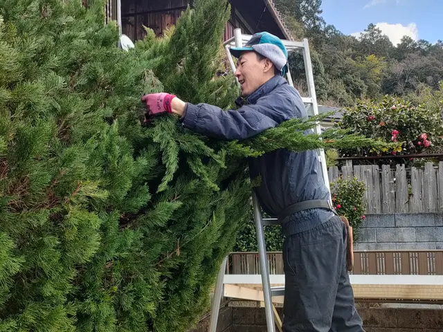メッセージにて作業内容、写真、希望作業日、お送り頂きますとお見積りいたします。サービスの画像