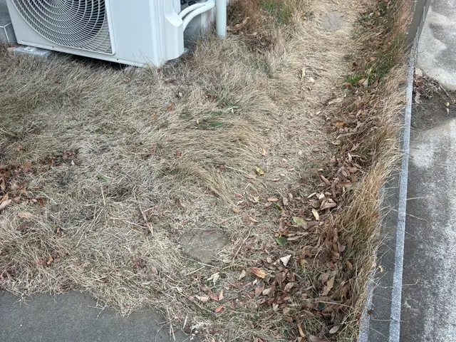 5年の実績と馬力が自慢！予算に合わせて丁寧に提案する安心の出張お手入れサービスサービスの画像