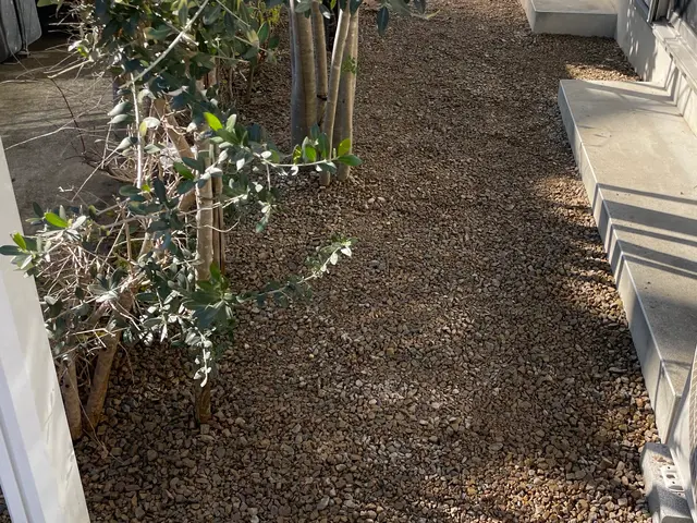 5年の実績と馬力が自慢！予算に合わせて丁寧に提案する安心の出張お手入れサービスサービスの画像