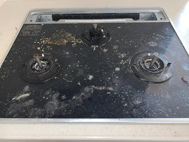 面倒くさい油汚れ、水アカ、五徳のコゲ落としピカピカクリーニング　◎クレカ対応サービスの画像