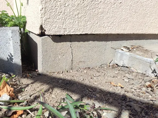 お客様のご要望に寄り添い、期待以上の仕上がりをお届けします。サービスの画像