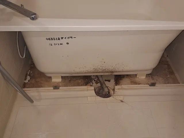 ★お客様のお声により掲載開始★毎日のお風呂を楽しみに変えるお手伝いをします！！サービスの画像