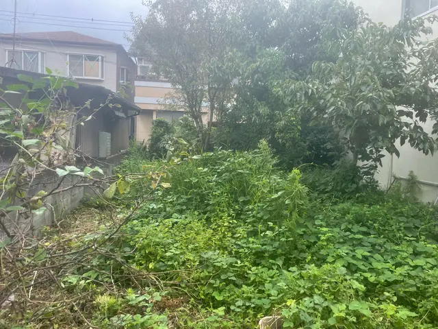 草刈り・伐採・剪定サービスの画像