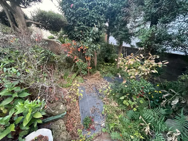 草刈り・伐採・剪定サービスの画像