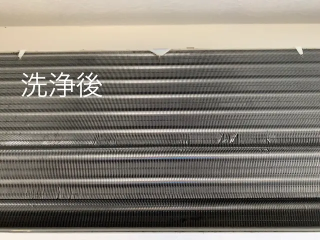 [静岡県内] 親切丁寧！●複数台割引有り●追加料金なし●損保加入済サービスの画像