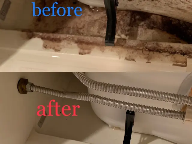 大掃除！まとめてお得！水廻り4点セットサービスの画像