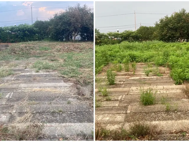 ☆もしもの飛び石も保険完備なので安心◎ ◇草刈り機の講習済で安心安全な施工◎サービスの画像