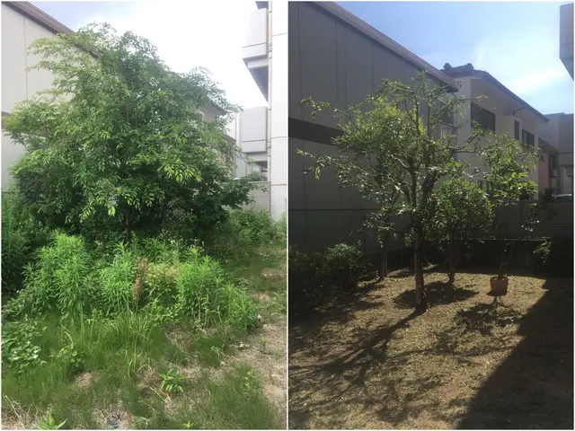 ☆もしもの飛び石も保険完備なので安心◎ ◇草刈り機の講習済で安心安全な施工◎サービスの画像