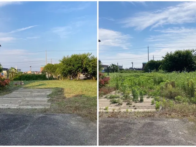 ☆もしもの飛び石も保険完備なので安心◎ ◇草刈り機の講習済で安心安全な施工◎サービスの画像