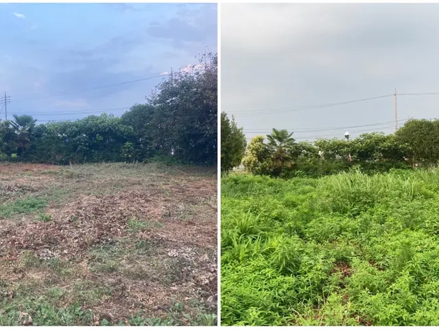 ☆もしもの飛び石も保険完備なので安心◎ ◇草刈り機の講習済で安心安全な施工◎サービスの画像