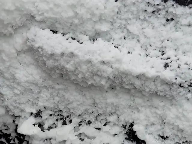 【今だけ価格】ニオイ・汚れ一掃！年末前の車内掃除キャンペーン！ママ目線で徹底洗浄サービスの画像