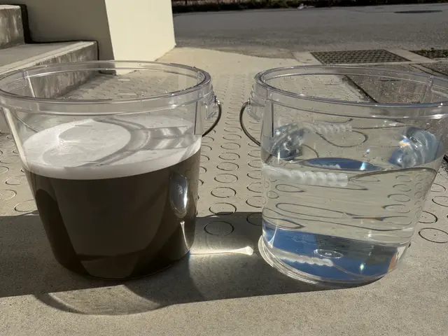 【今だけ価格】ニオイ・汚れ一掃！年末前の車内掃除キャンペーン！ママ目線で徹底洗浄サービスの画像