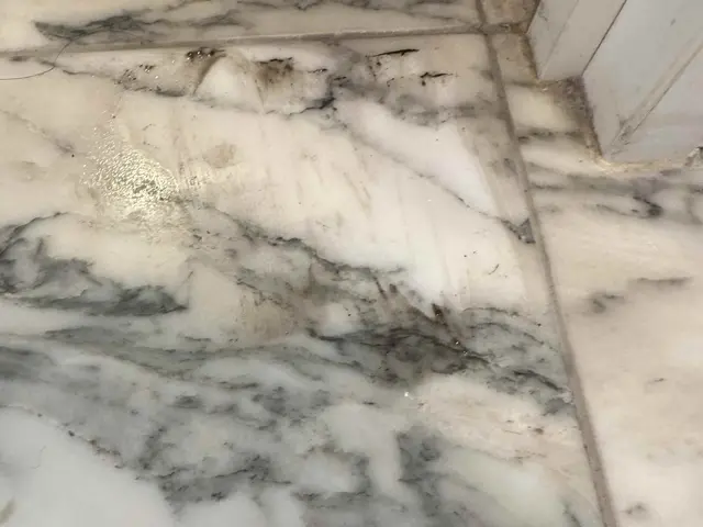 玄関タイルクリーニング！迅速丁寧に作業いたします！サービスの画像