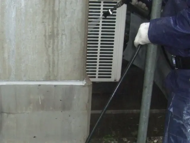 玄関タイルクリーニング！迅速丁寧に作業いたします！サービスの画像