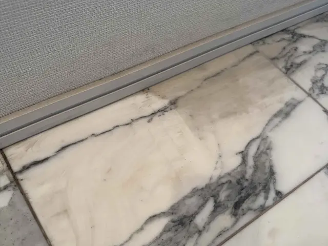 玄関タイルクリーニング！迅速丁寧に作業いたします！サービスの画像