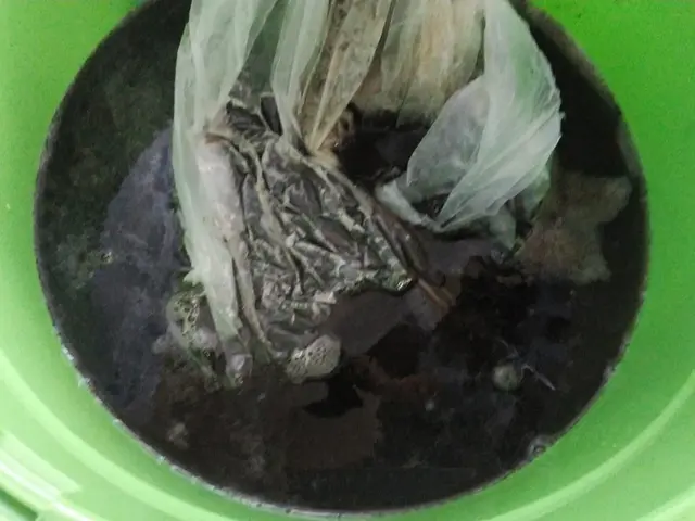 女性と2名で伺います◎丁寧で安心な分解内部徹底洗浄!電気工事士が施工します☆サービスの画像