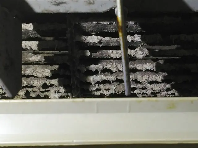 女性と2名で伺います◎丁寧で安心な分解内部徹底洗浄!電気工事士が施工します☆サービスの画像