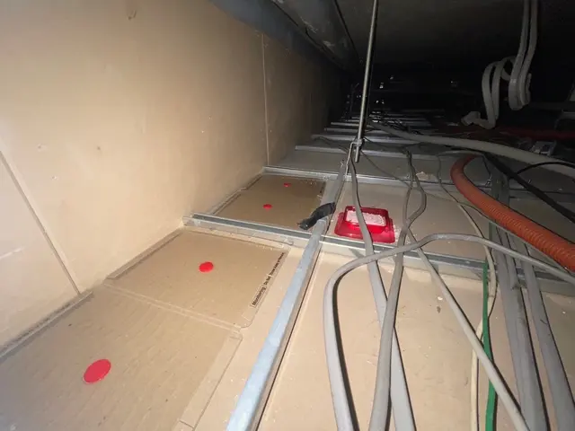 ネズミ撲滅！最短即日！原因追及から再発防止まで徹底し料金を明確に提示致します！サービスの画像