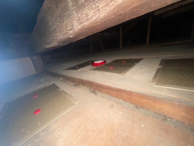 ネズミ撲滅！最短即日！原因追及から再発防止まで徹底し料金を明確に提示致します！サービスの画像