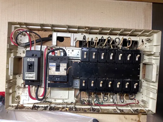 ネズミ撲滅！最短即日！原因追及から再発防止まで徹底し料金を明確に提示致します！サービスの画像