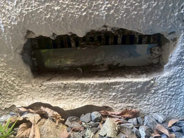 ネズミ撲滅！最短即日！原因追及から再発防止まで徹底し料金を明確に提示致します！サービスの画像