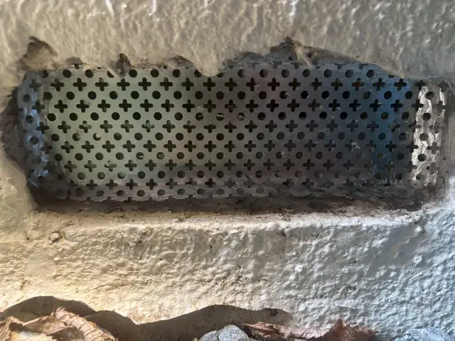 ネズミ撲滅！最短即日！原因追及から再発防止まで徹底し料金を明確に提示致します！サービスの画像