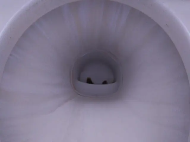 あの【がっちりマンデー！！】で紹介された、急成長のFC「おそうじ革命」です！サービスの画像