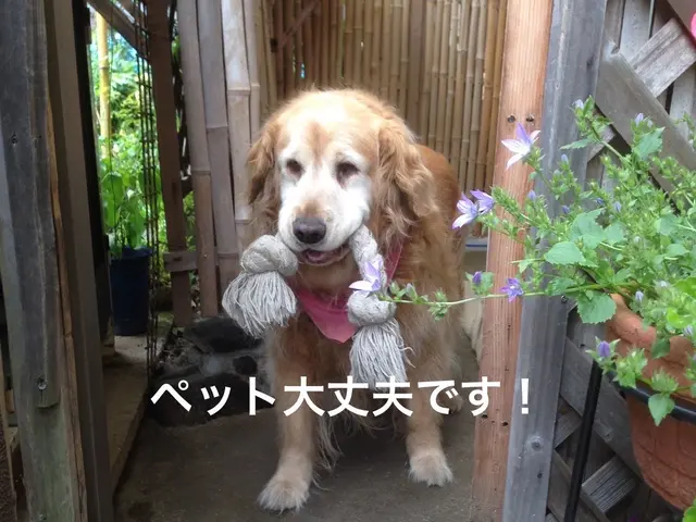 分解フレッシュクリーニング家族の健康を守る　◆◇新規受付中◆◇アワード受賞店サービスの画像