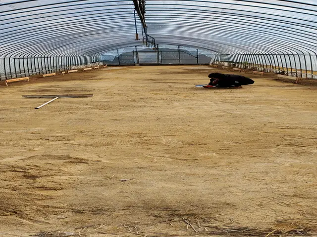 砂利敷均し・真砂土敷均し・駐車場等のコンクリート打設サービスの画像