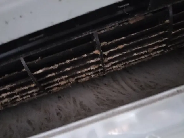 ★エアコン修理経験者★2台15.000円～★製造10年以上OK★抗菌脱臭処理無料サービスの画像