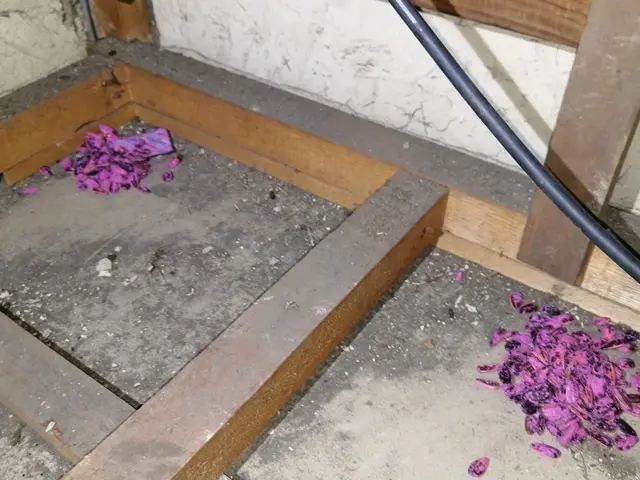 【業界14年の豊富な経験あり！】年中無休◎当社のプロ集団が全て対応いたします！サービスの画像