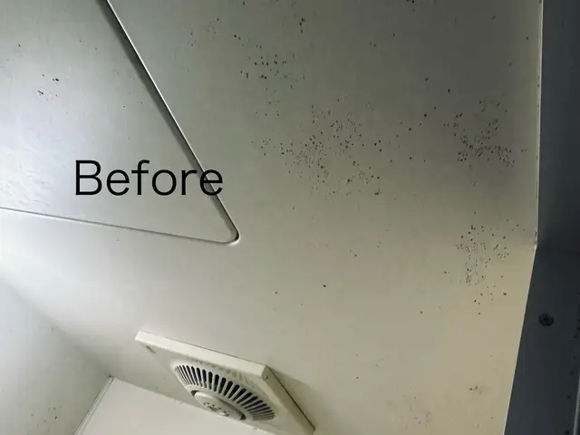 【クレジット　QR決済OK】スッキリ爽快！プロの浴室クリーニングサービスサービスの画像