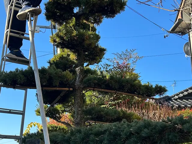 お客様のお力になります！経験と知識を活かして迅速丁寧に作業いたします！サービスの画像