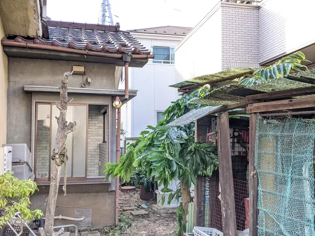 伐採・伐根はお任せ下さい！お気軽にご相談をサービスの画像