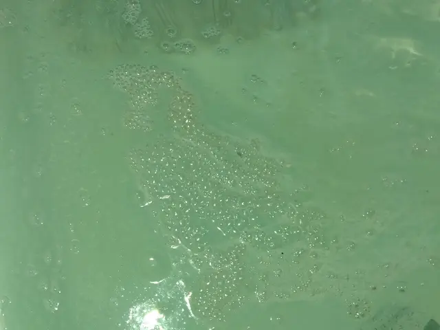 追い焚き配管の奥まで洗浄！湯垢・雑菌を徹底除去し、安心・清潔なバスタイムを☆彡サービスの画像