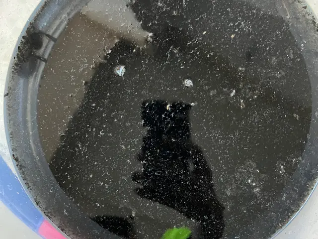 【複数台割あり】丁寧で安心できるサービスを提供しております。サービスの画像