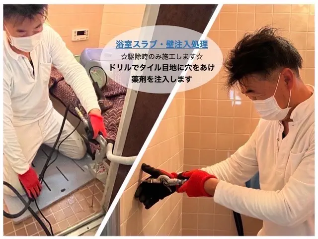 【害虫駆除部門2年連続入選】★国家資格および専門資格所持★世界基準の薬剤安全性サービスの画像